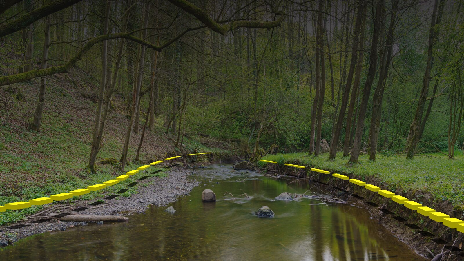 Ordinary high water mark along a stream bank