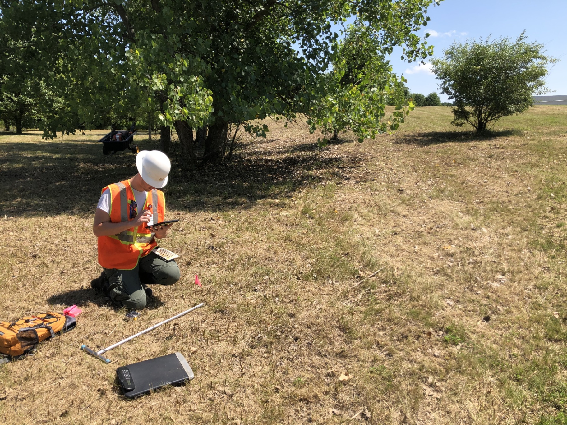 Wetland scientist in hard hat and safety vest kneeling under a tree, entering data on a phone with a Munsell color chart and soil probe in a dry prairie