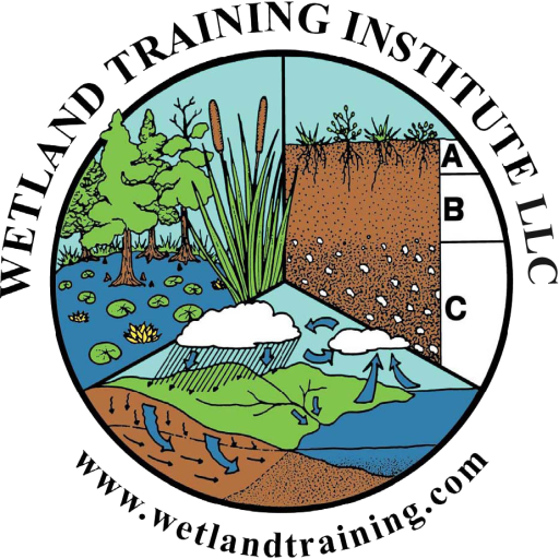 Wetland Training Institute