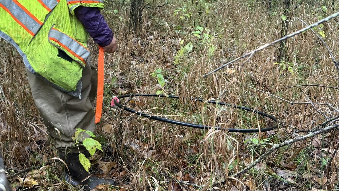 Field technician in hi-vis vest documenting a mitigation bank monitoring point