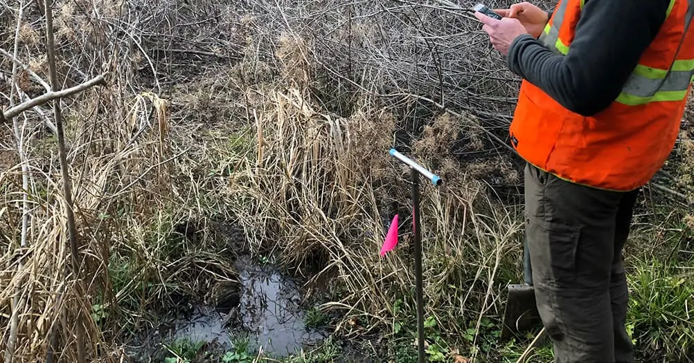 Wetland scientist using Ecobot Collector in the field to identify plant species from the National Wetland Plant List