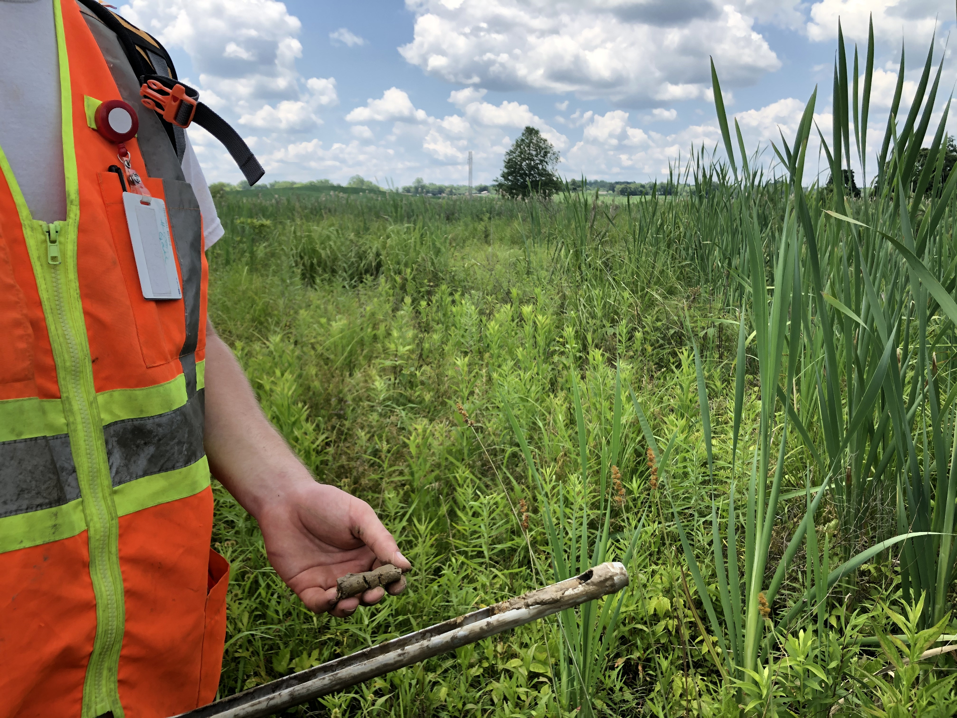 Hand holding a soil core next to a muddy soil probe with a cattail wetland in the background