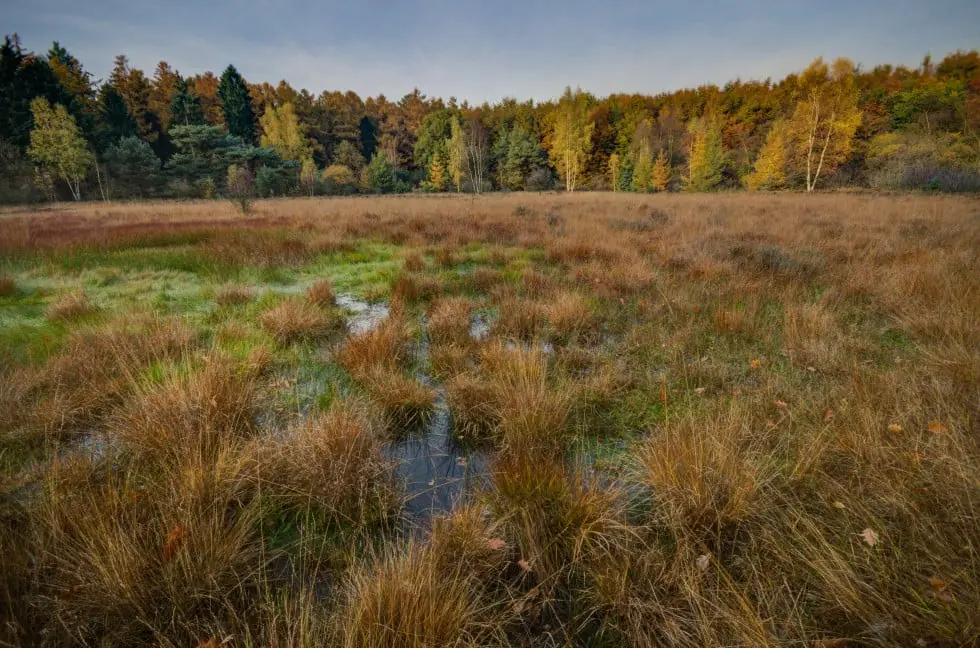 1 - Is this WOTUS