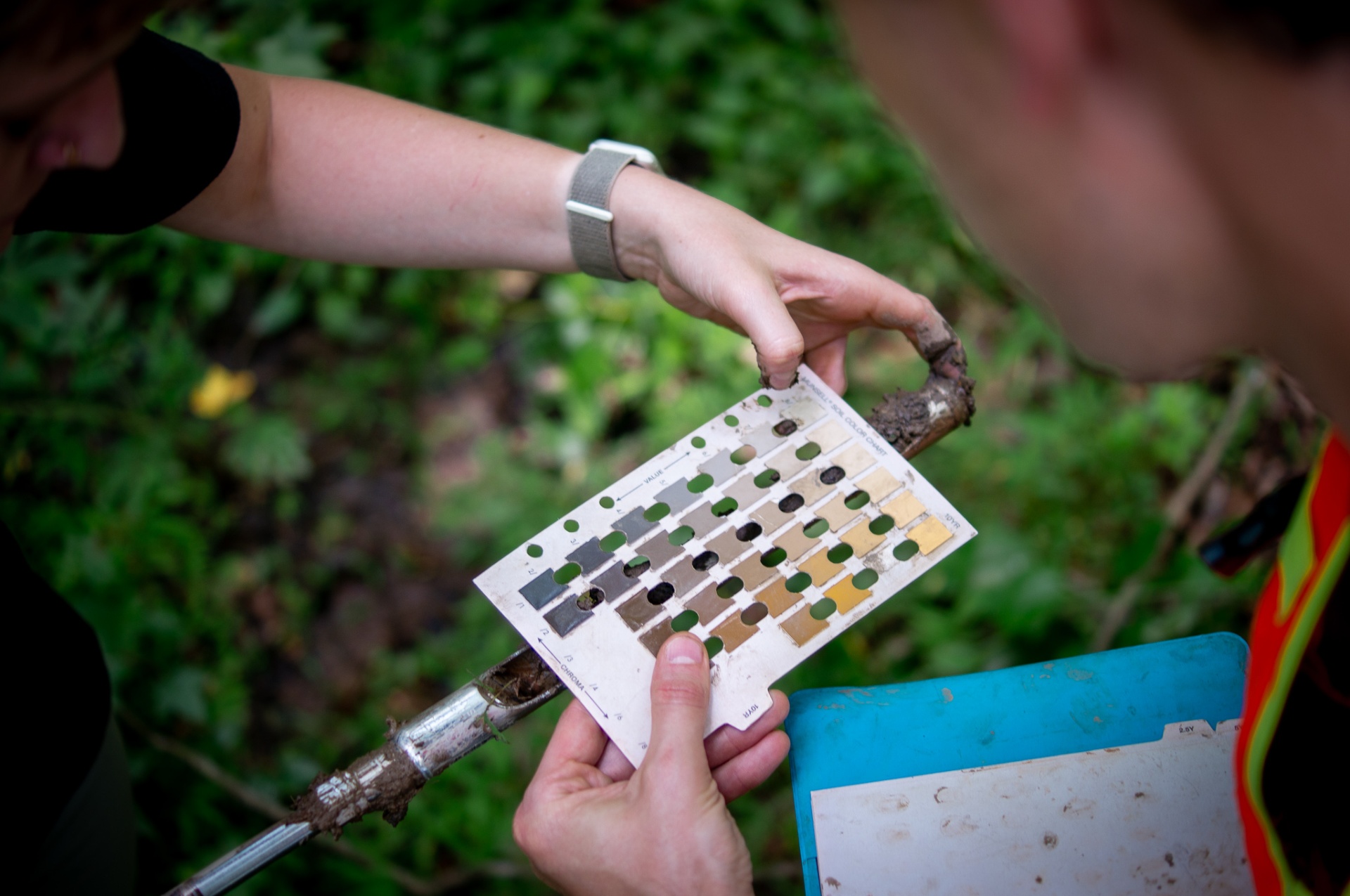 Field team comparing a soil sample against a soil color reference card during wetland delineation.