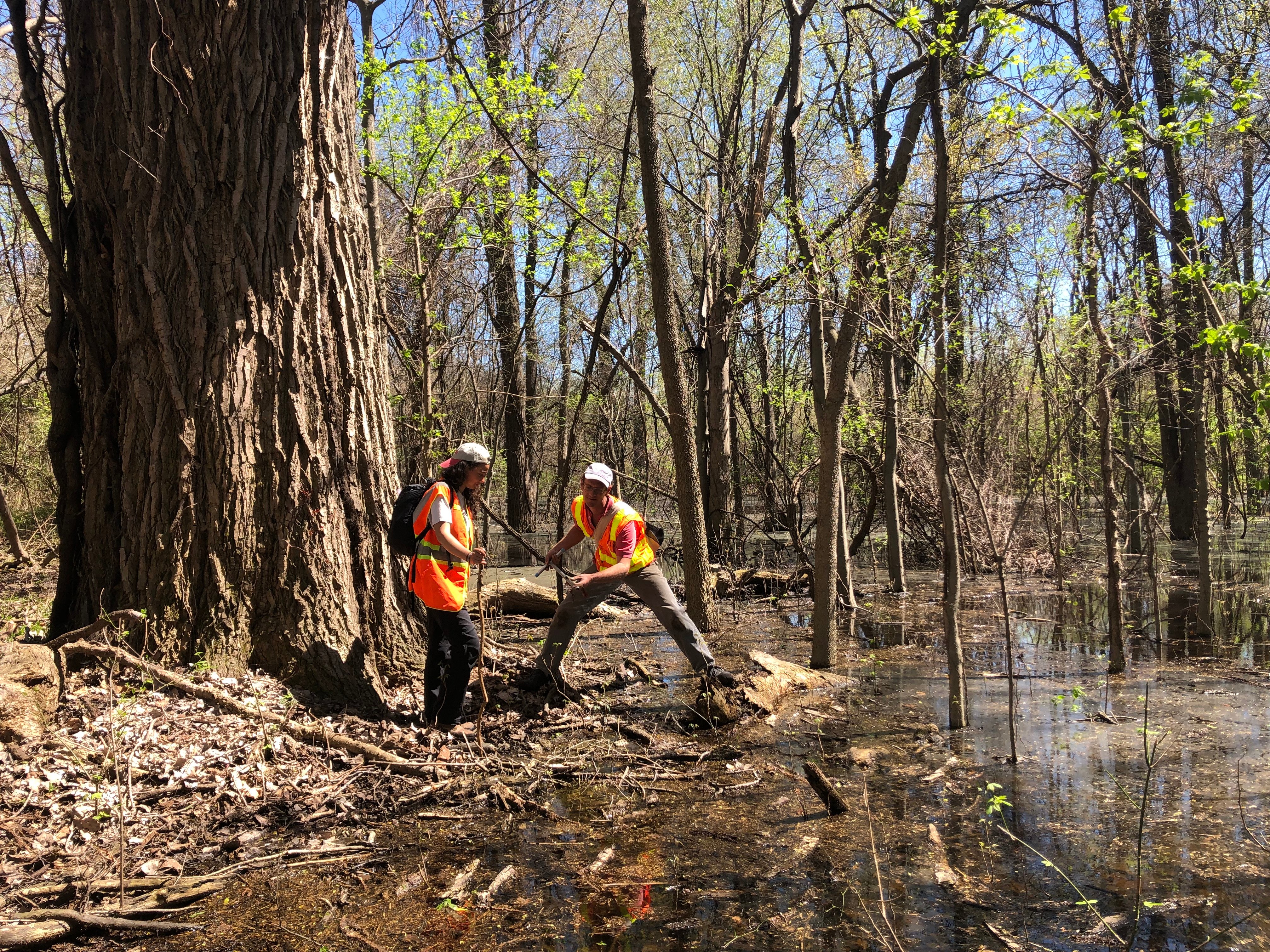 6 - Wetland Scientists at Work