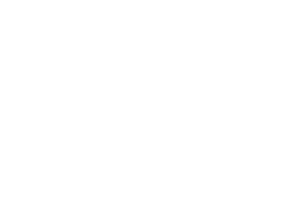 ese partners-white