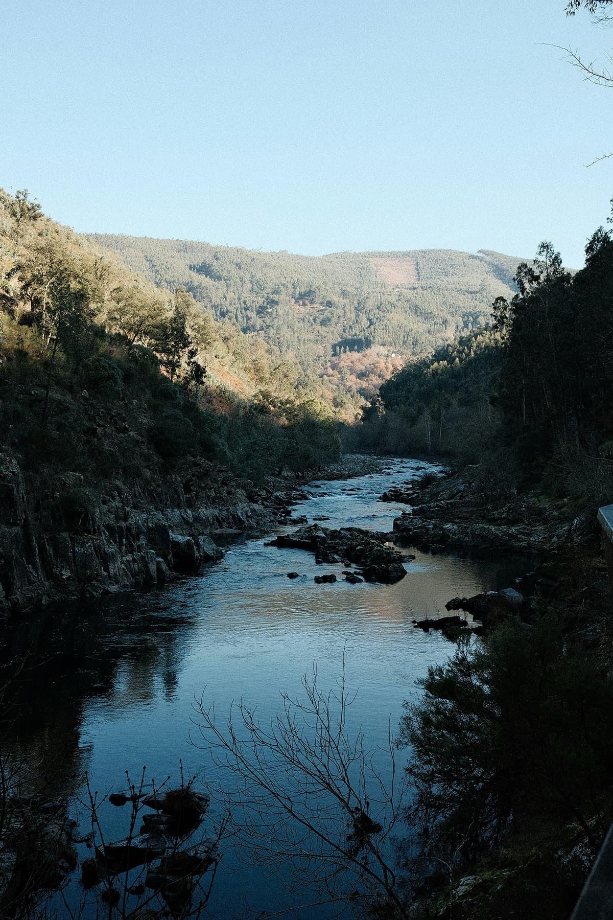 Scott River Restoration Rebuilds Salmon Habitat