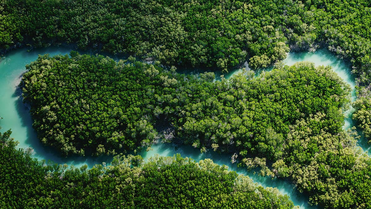 Iowa River Project Frees Steamboat Rock Reach