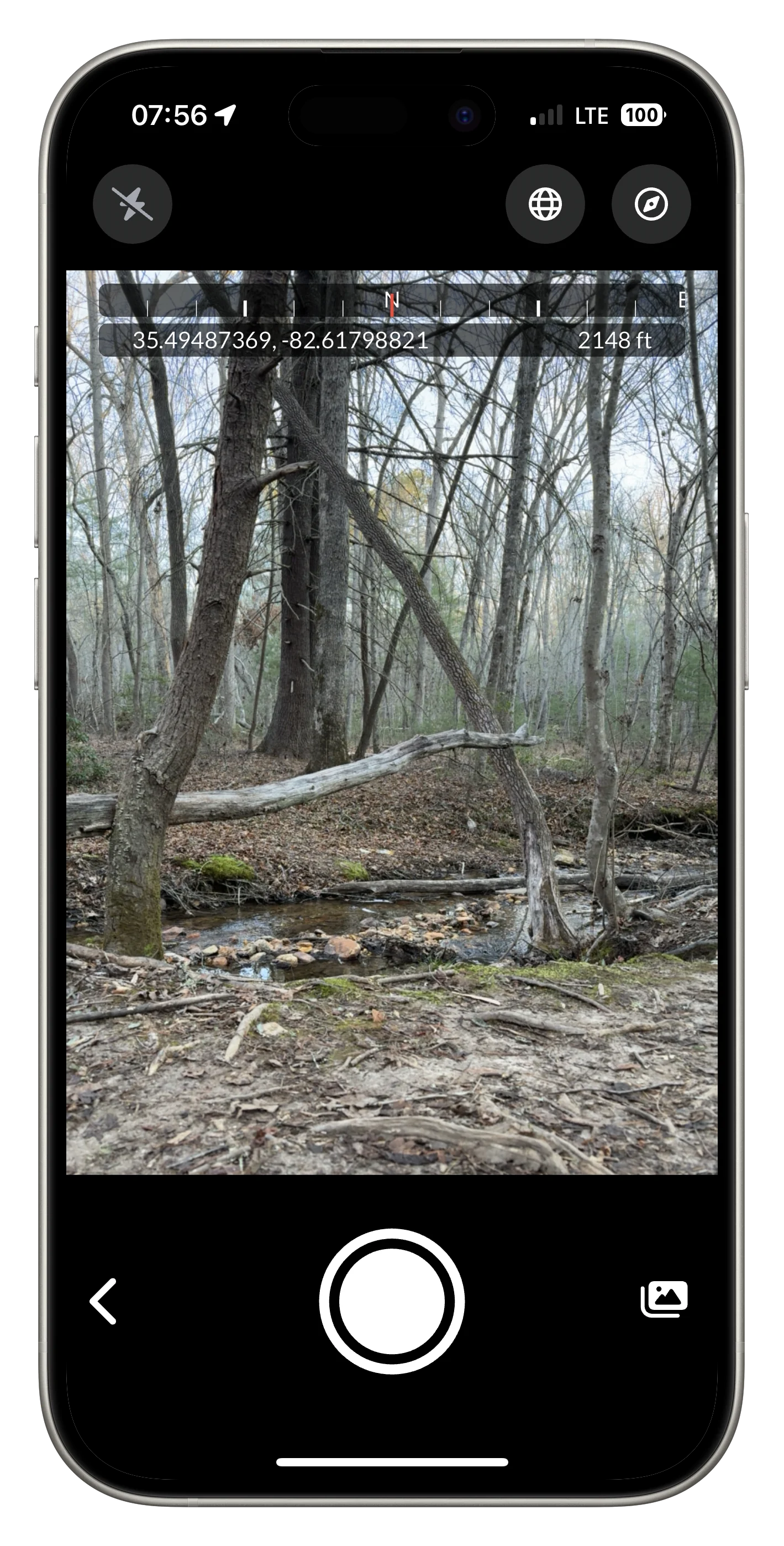 Portrait orientation example of vertical wetland feature documentation showing cardinal direction and site elements