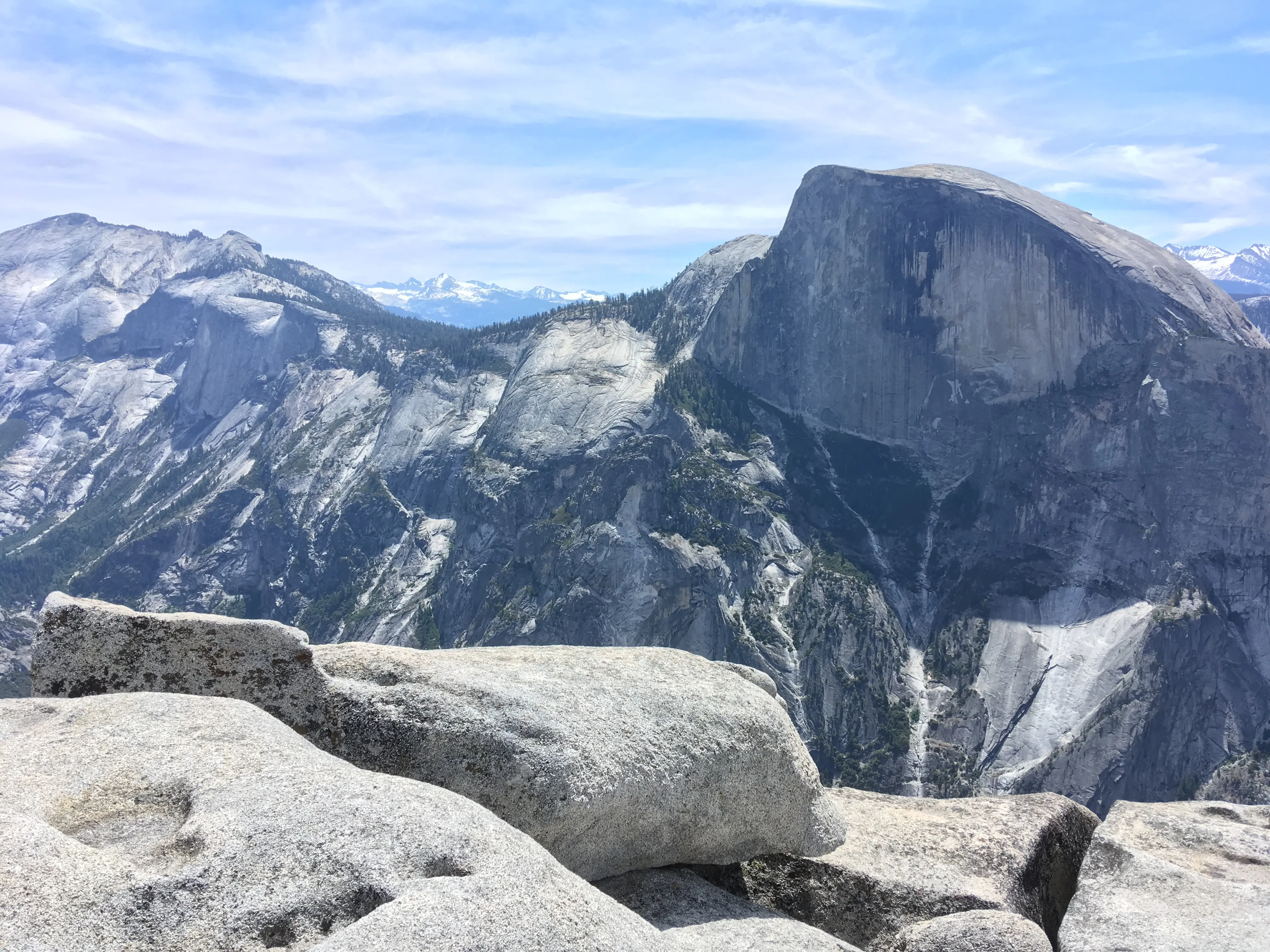 Field scientist collecting vegetation samples with foreground elements providing context and scale