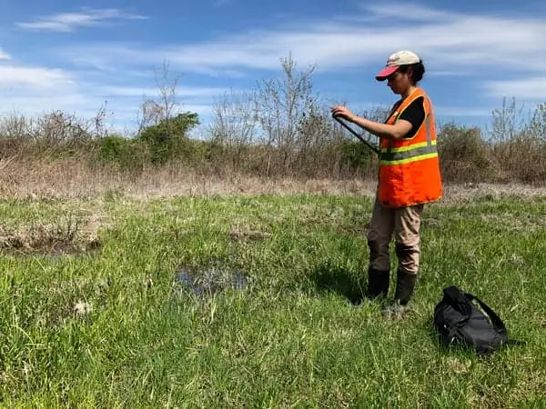 Wetland scientist performing field delineation survey documenting jurisdictional waters and collecting environmental assessment data