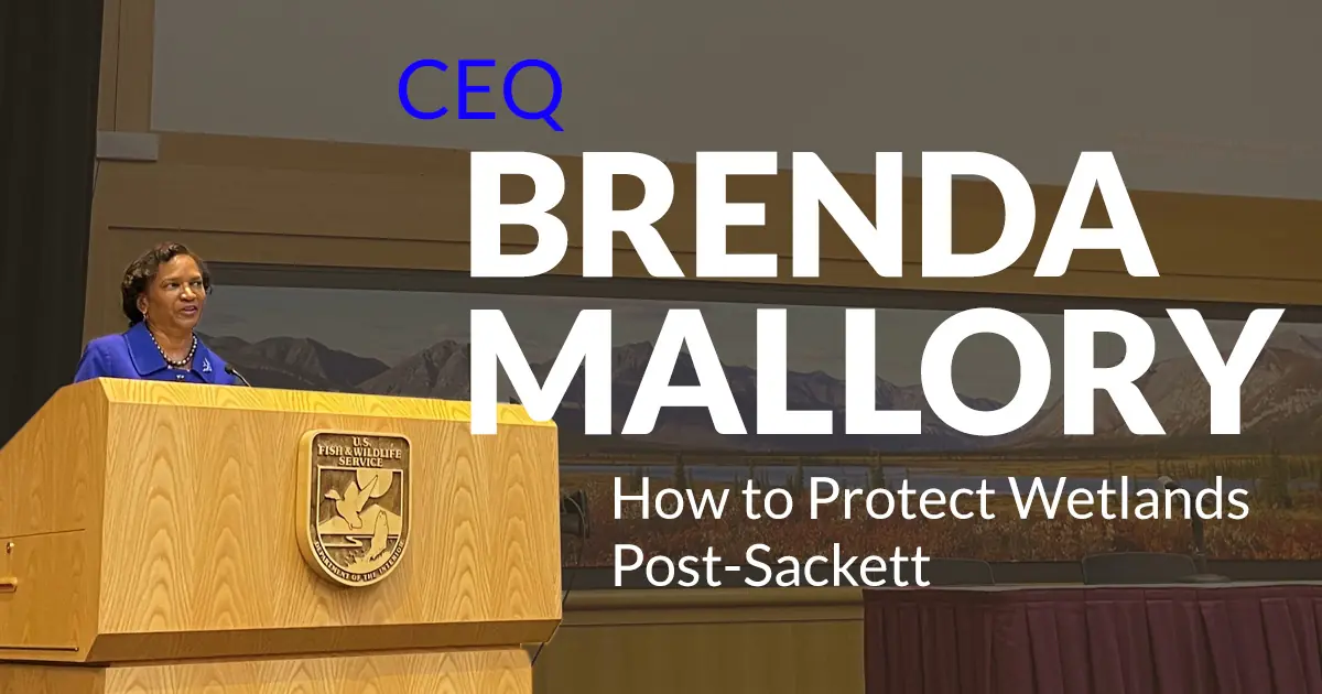 How to Protect Wetlands Post-Sackett