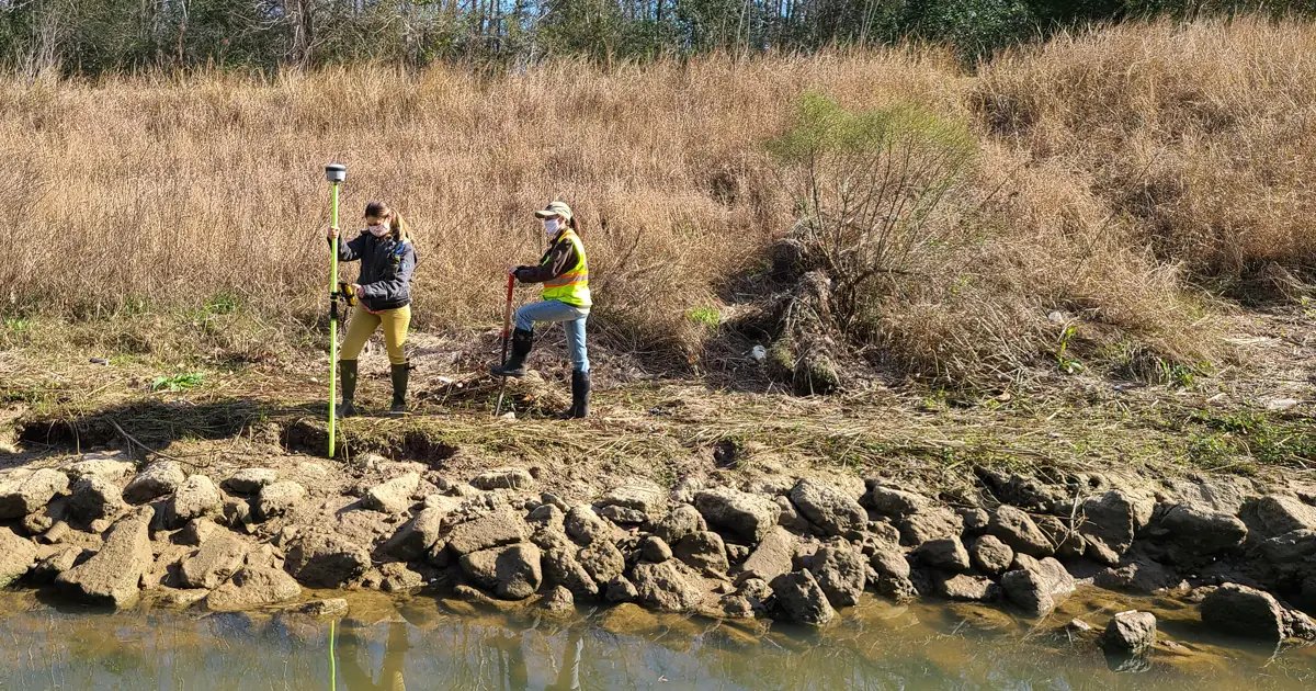 Hollaway Environmental Cuts Wetland Assessment Time by 50% for Road Infrastructure Project