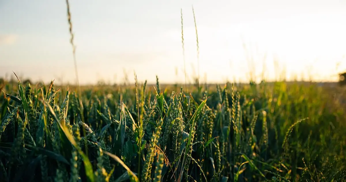 Wonderful Workflows Addressing 21st Century WOTUS Woes