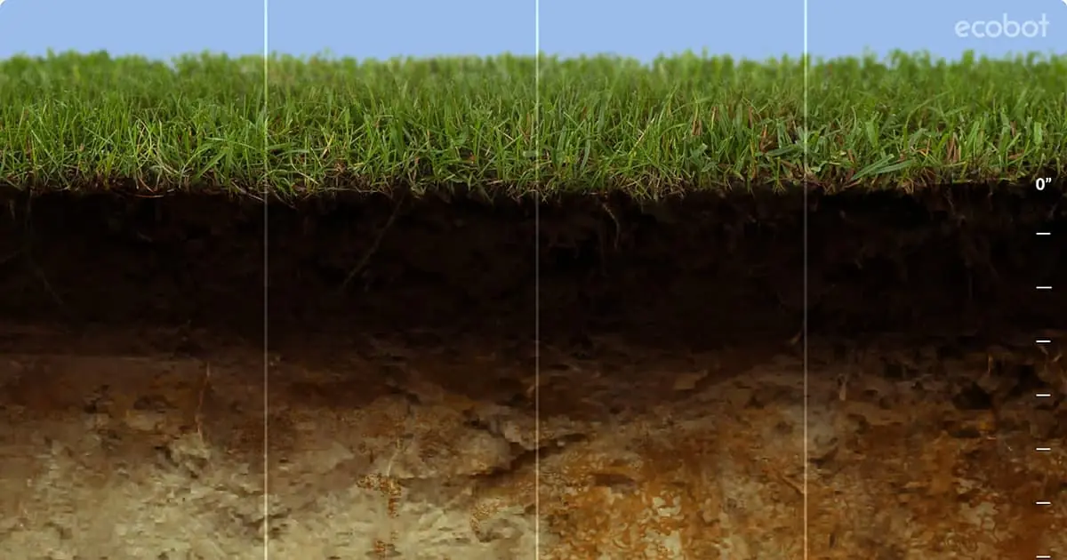 Understanding Gley Soil