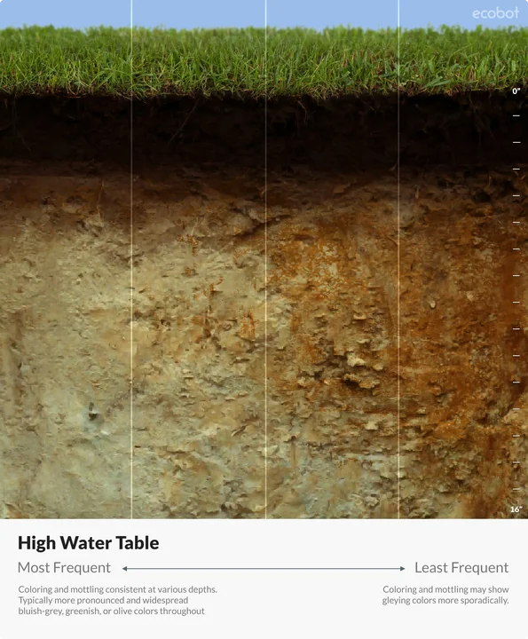 Munsell Soil Color Chart gley pages showing bluish-gray and greenish-gray soil colors used for identifying hydric soils in wetland delineations