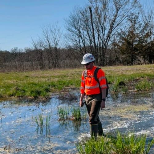 Man walking through wetland