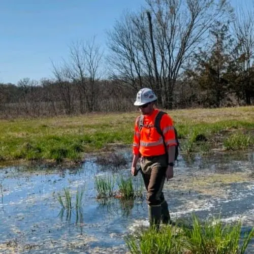 Environmental consultant navigating wetland terrain with EOS positioning equipment during site assessment