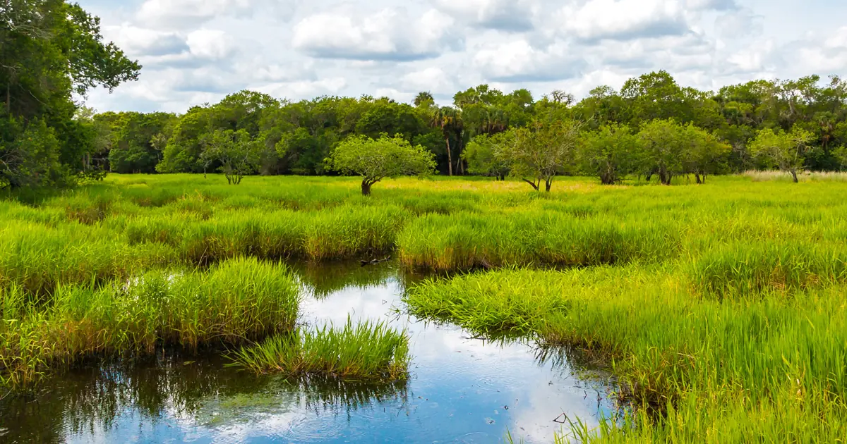 Sackett v. EPA: One Year Later