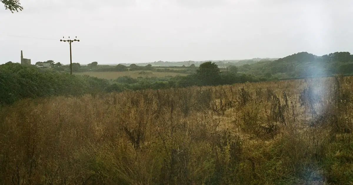 USACEs Antecedent Precipitation Tool (APT) For Wetland Delineations