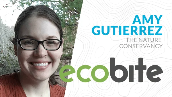 Georgia Low Impact Solar Siting Tool (LISST) with Amy Gutierrez, The Nature Conservancy